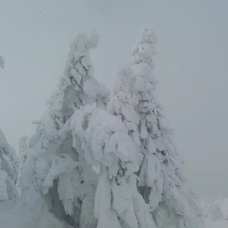 Apartamento Slow Cerla 9 *