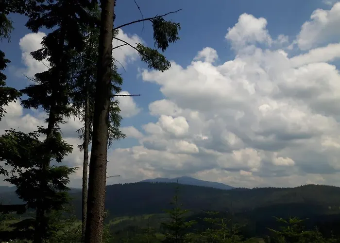 Slow Cerla 9 شقة كوربييلوف