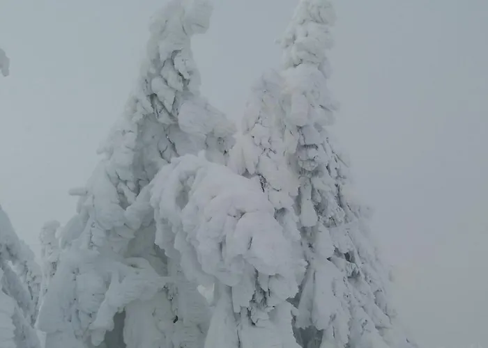 شقة Slow Cerla 9 *