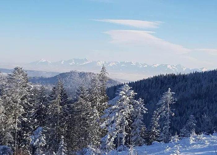 Slow Cerla 9 * كوربييلوف