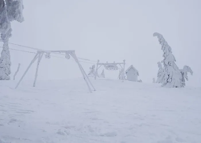 Slow Cerla 9 * Korbielów