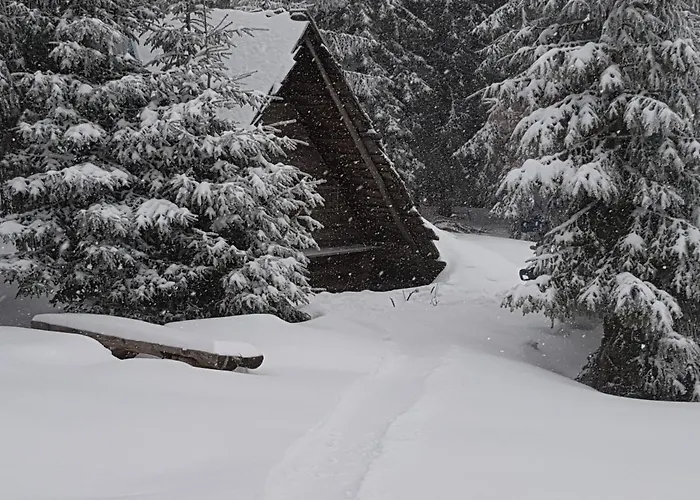 Slow Cerla 9 شقة كوربييلوف